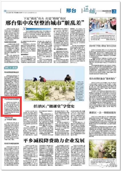 豆娃勇士2